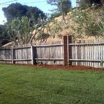 New sod lawn, plants & mulch